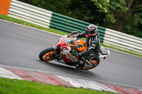 Lower Group Orange Bikes